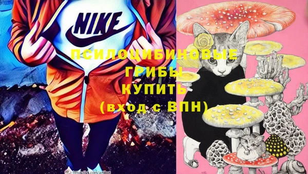 экстази Баксан