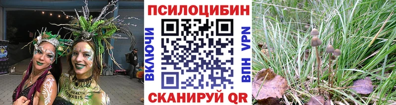 Галлюциногенные грибы Magic Shrooms  Вольск 