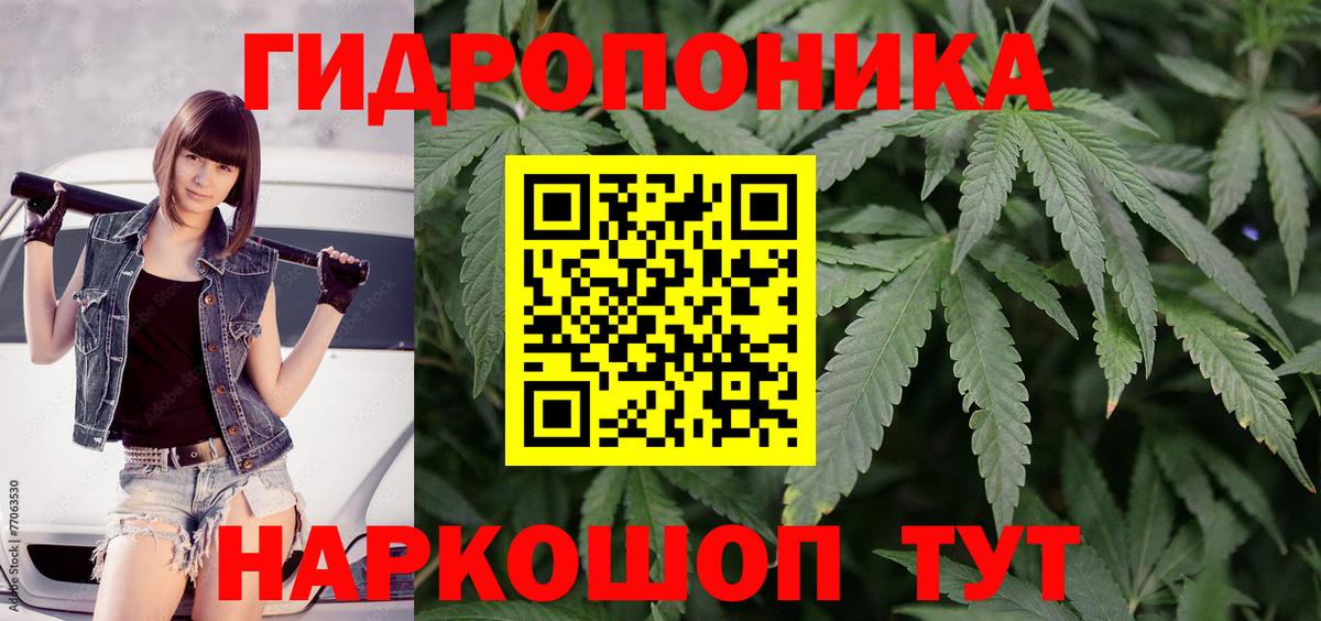 Вольск  Канабис SATIVA & INDICA  Вход с VPN  МАРИХУАНА MAZAR 
